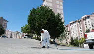 Osmangazi’de haşerelere karşı ilaçlama mesaisi başladı