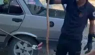 Malatya’da kayısı bahçesindeki otomobile yılan girdi