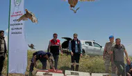 Adıyaman dağlarında keklik mesaisi