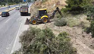 Aydın ormanlarını yangından korumak için yol kenarları temizleniyor