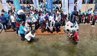 İzmit Körfezi’nde yaşam canlanıyor