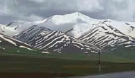 Van dağlarında bahar mevsimiyle birlikte zebra deseni dönemi başladı