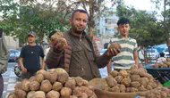 Urfa’da keme bereketi Kilosu 2 bin lirayı buluyor