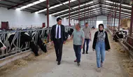 Beylikova’da hayvancılık yatırımları mercek altında