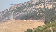 Nurdağı'nda zeytin bahçesinden sıçrayan alevler ormanı küle çevirdi