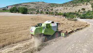 Balıkesir'de yerli buğday Altındane için ilk hasat yapıldı