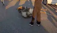 Bingöl’de yola çıkan eşek sürücünün kabusu oldu