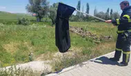 Çorum'da evdeki davetsiz misafir paniği