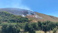 Hatay'da orman yangını paniği havadan müdahale ile bitti