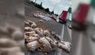 Ankara çevre yolunda patates trafiği