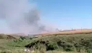Hasat mevsiminde büyük şok: Bir kıvılcım 150 dönümü küle çevirdi