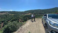 Manisa Sarıgöl ormanlarını korumak için denetimlerini sıkılaştırdı