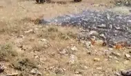 Gercüş’te alevler tarlaların kapısına dayandı