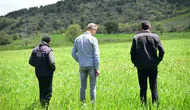 Manisalı çiftçinin tarlasında belediye desteği yeşerdi