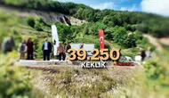 Tarım Bakanlığı tarlalara 51 bin keklik ve sülün salıyor