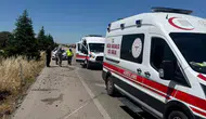 Bir arı yüzünden hayatlar karardı