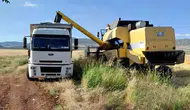 Araban Ovası’nda ilk arpa hasadı yapıldı