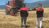 Edremit ovasında altın başaklar biçerdöverlerle buluştu