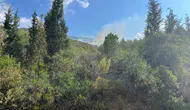 Marmaris ormanlarında yıldırım alarmı
