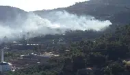 Çanakkale Ayvacık’ta zeytinlikleri saran alevler söndürüldü