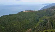 Tekirdağ ormanlarına giriş yasaklandı