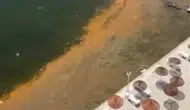 Marmara denizindeki renk değişimi müsilaj tehlikesini yeniden hatırlattı