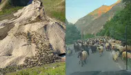 Hakkari’de yayla mesaisi yağış engeliyle gecikti