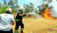 Muğla Menteşe'de zeytinlik yangını ekiplerin müdahalesiyle büyümeden durduruldu