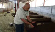 Malatyalı üreticinin bahçesindeki sessiz kazanç kapısı