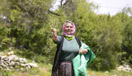 Mersin Gülnar topraklarında atalık nohut dönemi yeniden başladı