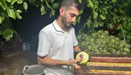 Bursa’da enginarın sırrı hızlı ellerde