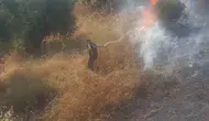 Nazilli Bozyurt’ta çıkan yangına belediye ekipleri müdahale ediyor