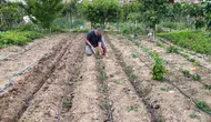 Yusufeli'nde boş vakitleri toprağa dönüştüren eğitimciler
