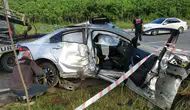 Ordu'da kontrolden çıkan otomobil ağaçları devirdi