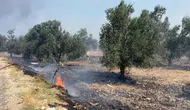 Edremit'te çöp sahasındaki yangın zeytinliklere sıçradı