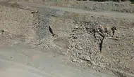 Eskişehir Sarıcakaya yolunda istinat duvarı çöktü