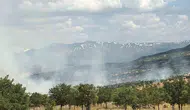 Bingöl Gökçeli köyündeki orman yangını paniğe yol açtı