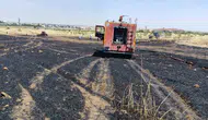 Mardin'de buğday tarlası alevlere teslim oldu
