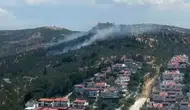 Burhaniye zeytinliklerinde korkutan yangın söndürüldü