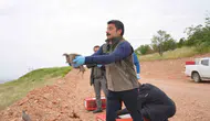Kırşehir’in doğasına 900 yeni kanatlı destek