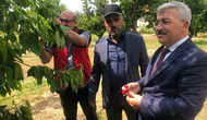 Akşehir kirazında yeni sezon öncesi kritik saha denetimi