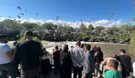 Van Gölü’nde balıkların akıntıya karşı verdiği yaşam mücadelesi