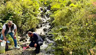 Uzungöl’ün dereleri 15 bin yeni misafirine kavuştu