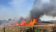 Edirne’de buğday hasadı öncesi korkutan yangın