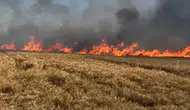 Tekirdağ'da tarlalar kül oldu