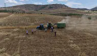 Batmanlı çiftçiler tarlada hasadı bayrama çevirdi