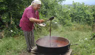 Ordu’da geleneksel dut pekmezi mesaisi başladı