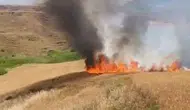 Batman’da hasat vakti büyük yangın