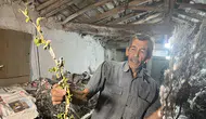 Nallıhan'da bir asırlık gelenekle gelen kazanç