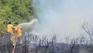 Muğla ormanlarında yıldırım alarmı